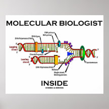 Molecular Biologist Inside (DNA Replication) Posters
