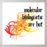 Molecular Biologists Are Hot posters