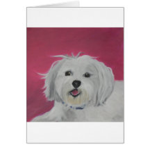 Molly Card