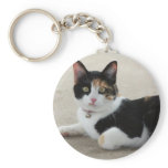 molly keychains