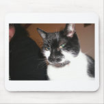 Molly Mog mousepads