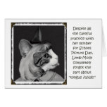 Molly's School Picture blank cards