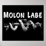 Molon Labe Poster