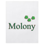 Molony Family flyers