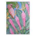 Moluccan Cockatoo cards