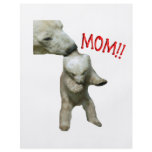 MOM!! flyers
