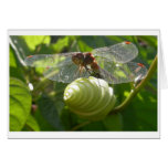 Moment on Moonflower Card