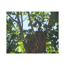 Momma and baby birds gallery wrapped canvas