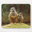 Momma and Baby Meerkat 1 Mousepad