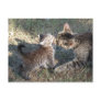 Momma cleans Baby Postcard