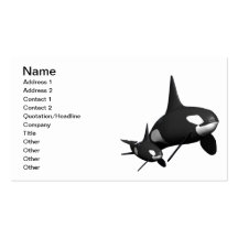 Momma Whale Business Card