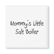 Mommys Little Salt Boiler