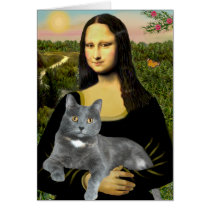 Mona Lisa - Grey cat