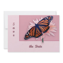 Monarch