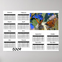 Monarch butterflies - 2009 Calendar Posters
