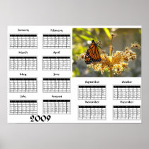 Monarch butterfly - 2009 Calendar Posters