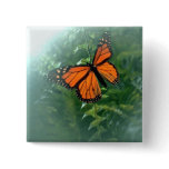 Monarch Butterfly (2) buttons