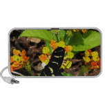 Monarch Butterfly and Zebra Butterfly Mini Speakers