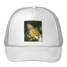 Monarch Butterfly Baseball Hat