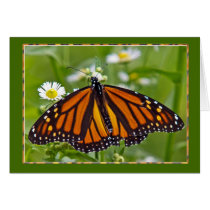 Monarch Butterfly Card