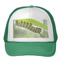 Monarch Butterfly Caterpillar Exploring A Milkweed Trucker Hats
