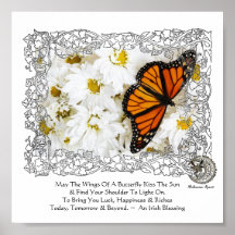 Monarch Butterfly & Daisies Posters