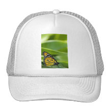 Monarch Butterfly Design Baseball Hat