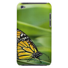 Monarch Butterfly Design iTouch Case Barely There iPod Case