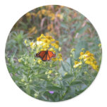 Monarch Butterfly Distressed Round Stickers