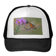 Monarch Butterfly Hat