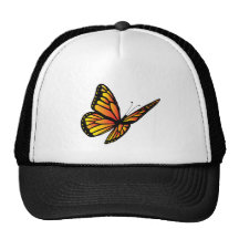 Monarch butterfly hat