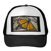 Monarch Butterfly Hats