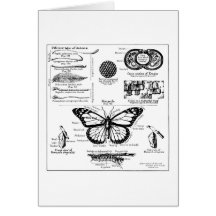 Monarch Butterfly Information Greeting Card