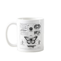 Monarch Butterfly Information Mugs