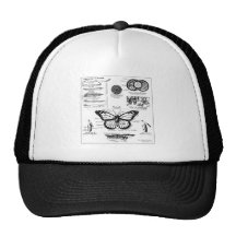 Monarch Butterfly Information Trucker Hat