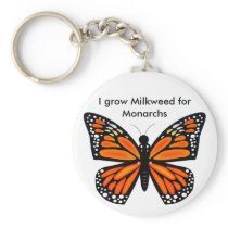 Monarch Butterfly