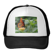 Monarch Butterfly Mesh Hats