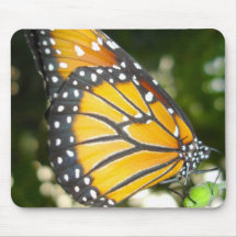 Monarch Butterfly Mouse Pad