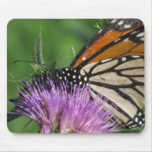 Monarch Butterfly Mousepad