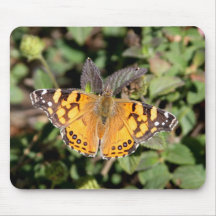 Monarch Butterfly Mousepad