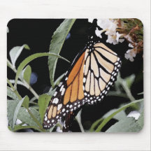 Monarch Butterfly  Mousepad
