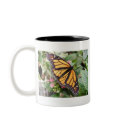 Monarch Butterfly mugs