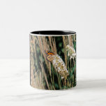 Monarch Butterfly Mug