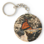 Monarch Butterfly Nature Photo Keychain Keyring