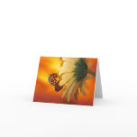 Monarch Butterfly on a Daisy Blank Card