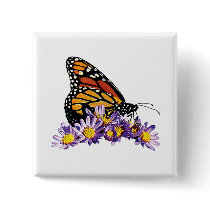 Monarch Butterfly on Aster