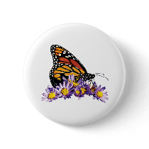 Monarch Butterfly on Aster