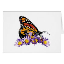 Monarch Butterfly on Aster