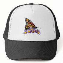 Monarch Butterfly on Aster