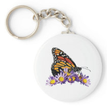 Monarch Butterfly on Aster